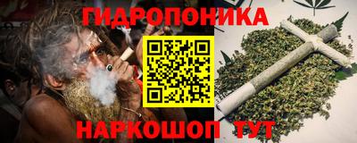 сатива Заводоуковск