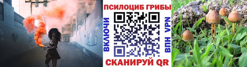 Галлюциногенные грибы прущие грибы  Петропавловск-Камчатский 