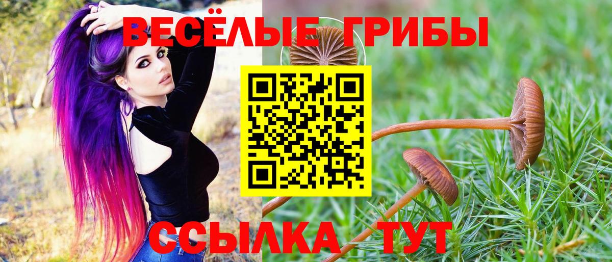 Петропавловск-Камчатский  Псилоцибиновые грибы мухоморы  Вход с VPN 