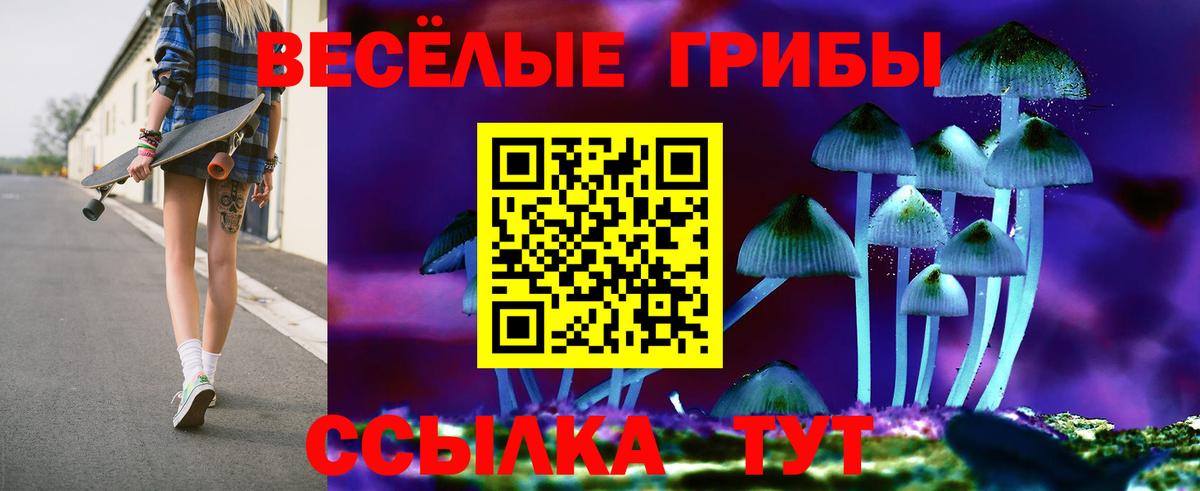 Псилоцибиновые грибы мицелий Петропавловск-Камчатский